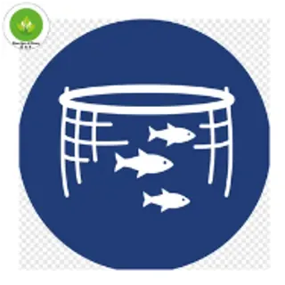 Fish Farming/মাছ চাষ-collection-image